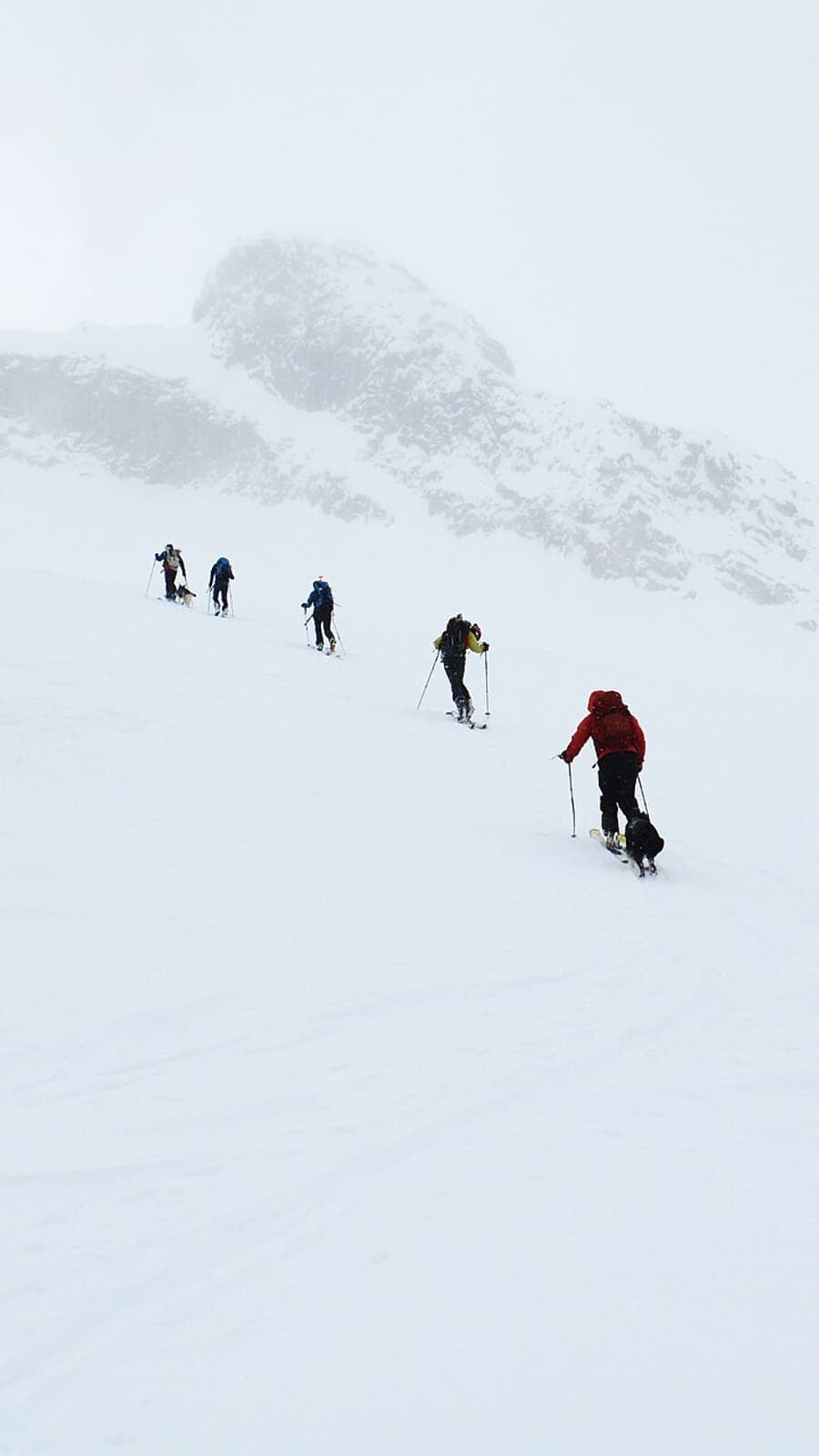 Ski tourers with poles climb a snowy slope toward a peak in the fog.